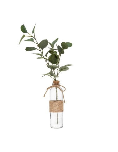 RAMO EUCALIPTO 168579 IN BOTTIGLIA H45CM CON CORDA su Shop in Casa
