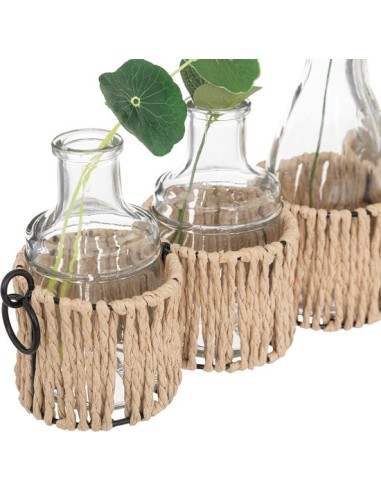 SET 5 VASETTI 193835 VETRO 44X19CM CON PIANTINE su Shop in Casa