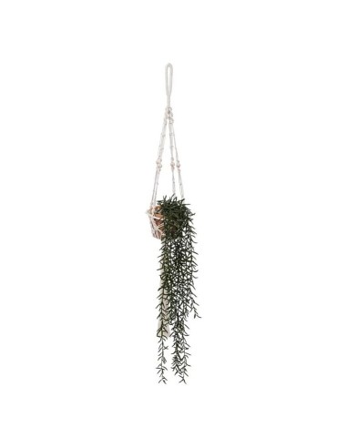 PIANTA PENSILE 189103 VASO TERRACOTTA H92CM su Shop in Casa