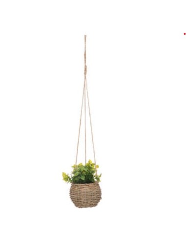 PIANTA PENSILE 193789 CON VASO 17CM NATURALE su Shop in Casa