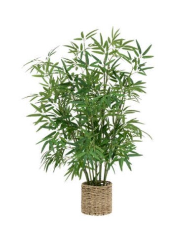 PIANTA 198205 BAMBOO H100CM CON VASO NATURALE su Shop in Casa