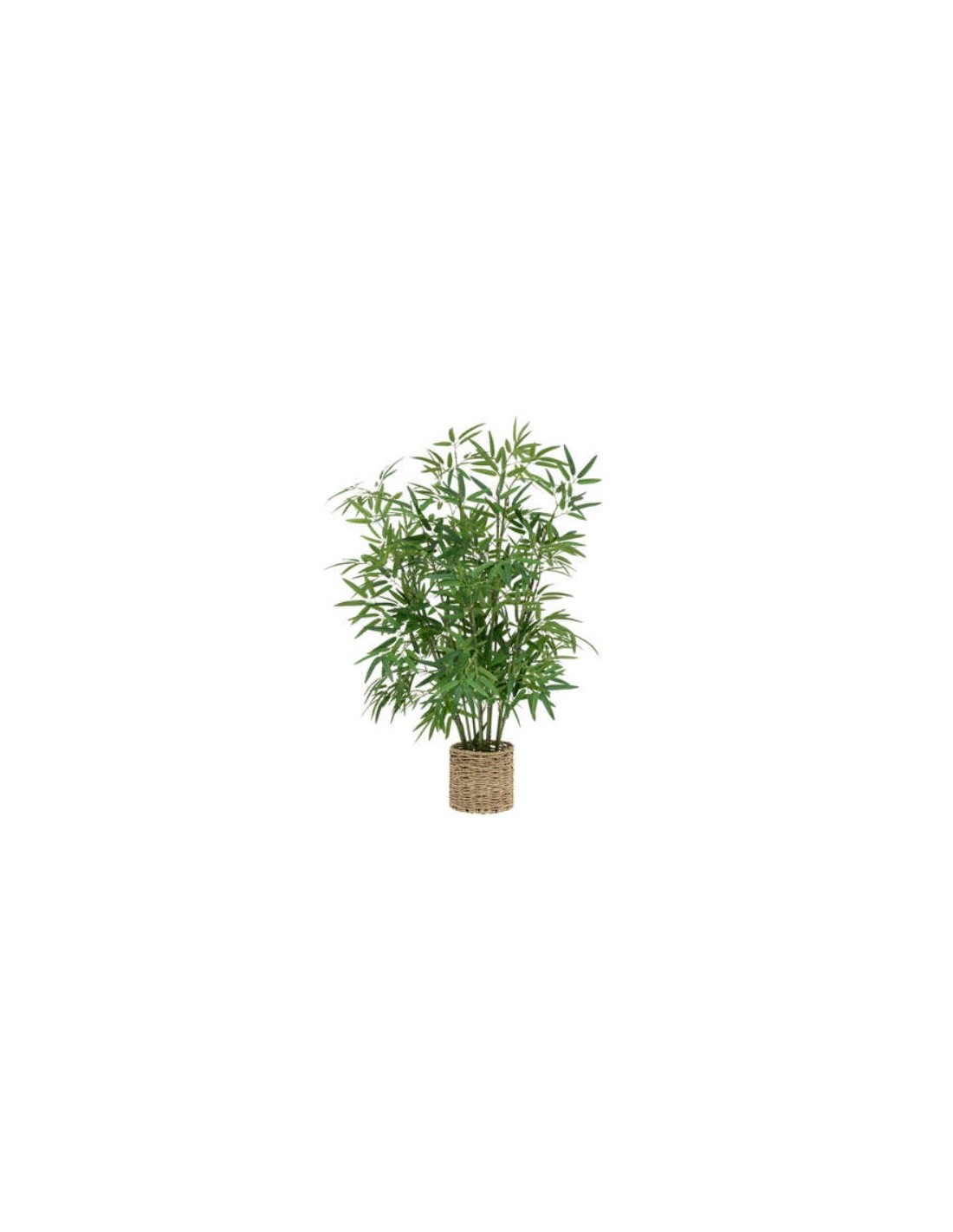 PIANTA 198205 BAMBOO H100CM CON VASO NATURALE su Shop in Casa