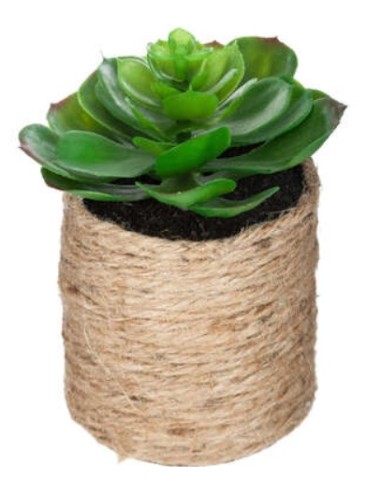 PIANTA VERDE 160065 VASO CORTA 16CM ASSORTITO su Shop in Casa