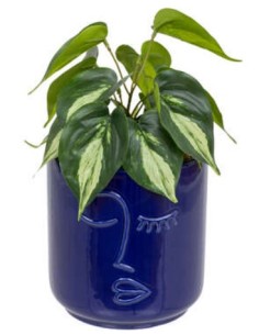 PIANTA 198130 SOLEYA H30CM VASO CERAMICA BLU su Shop in Casa