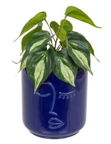 PIANTA 198130 SOLEYA H30CM VASO CERAMICA BLU su Shop in Casa