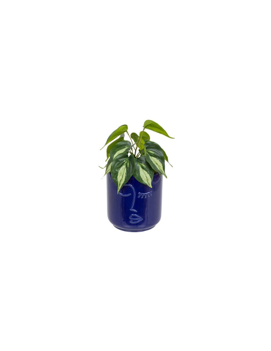 PIANTA 198130 SOLEYA H30CM VASO CERAMICA BLU su Shop in Casa