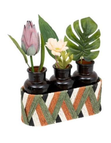 SET 3 VASETTI 198123 VETRO 22X26CM CON PIANTINE su Shop in Casa