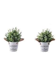 PIANTA 86169 CON VASO FERRO 20X25CM ASSORTITO su Shop in Casa