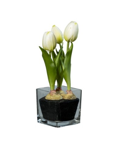 FIORE 1812001336 TULIPANO BIANCO 23CM CON VASO VETRO su Shop in Casa