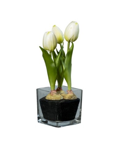 FIORE 1812001336 TULIPANO BIANCO 23CM CON VASO VETRO