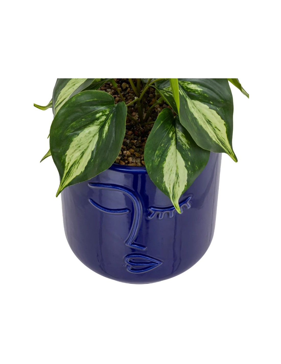 PIANTA 198130 SOLEYA H30CM VASO CERAMICA BLU su Shop in Casa