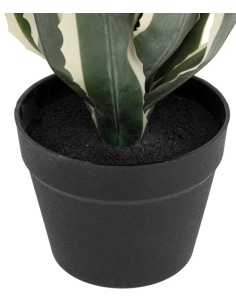 PIANTA 198124 AGAVE AMERICANA 35X35X55CM CON VASO su Shop in Casa 2