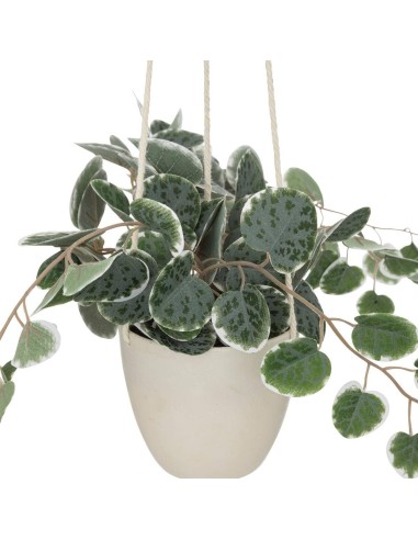 PIANTA PENSILE 193710 VASO PLASTICA H30CM su Shop in Casa