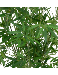 PIANTA 198205 BAMBOO H100CM CON VASO NATURALE su Shop in Casa 2