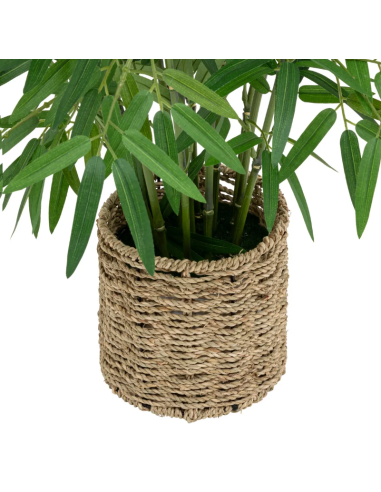 PIANTA 198205 BAMBOO H100CM CON VASO NATURALE su Shop in Casa
