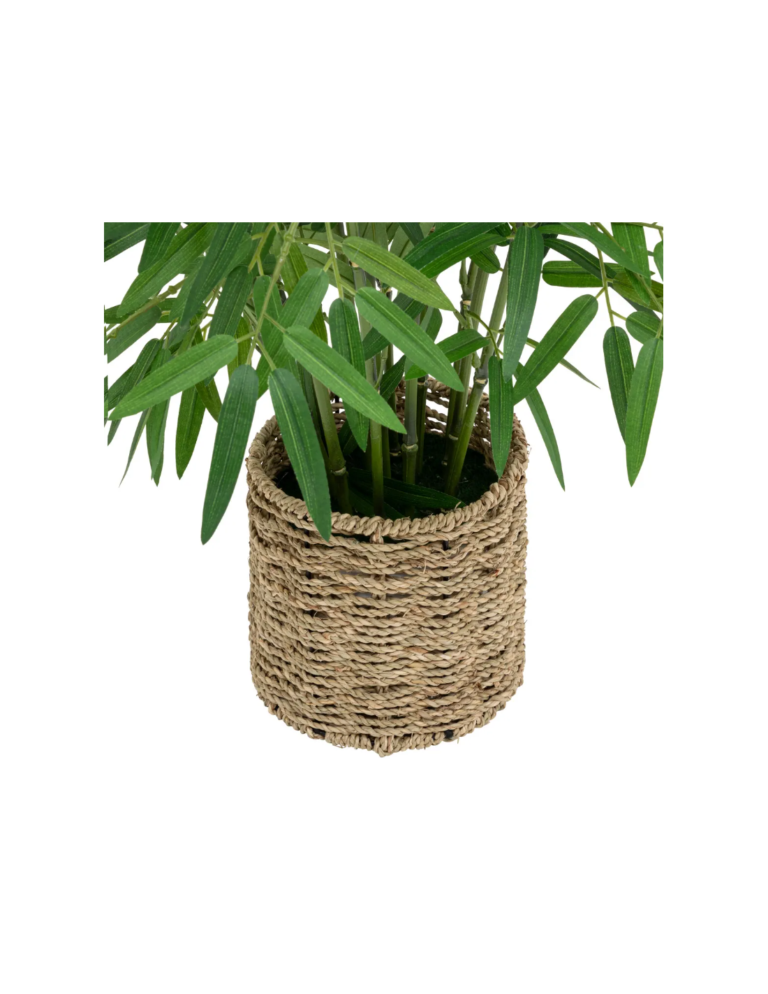 PIANTA 198205 BAMBOO H100CM CON VASO NATURALE su Shop in Casa