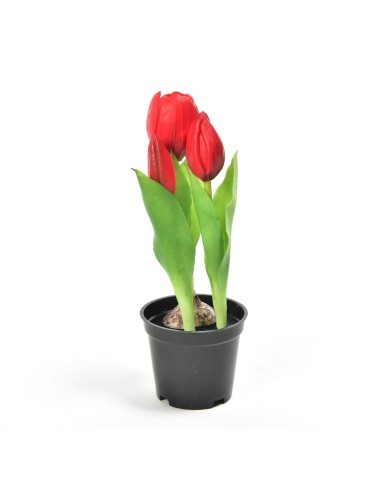 TULIPANO 12565 ROSSO GOMMA 21CM CON VASO