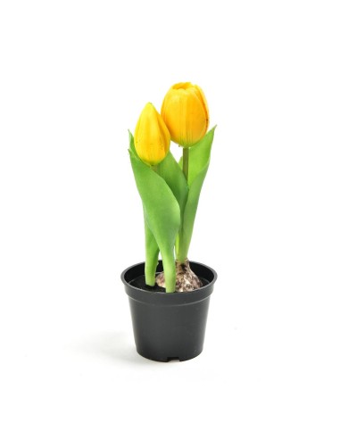 TULIPANO 12572 GIALLO GOMMA 21CM CON VASO su Shop in Casa