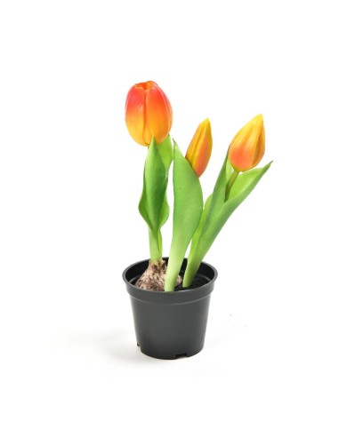 TULIPANO 12589 ARANCIO GOMMA 21CM CON VASO su Shop in Casa