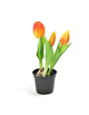 TULIPANO 12589 ARANCIO GOMMA 21CM CON VASO