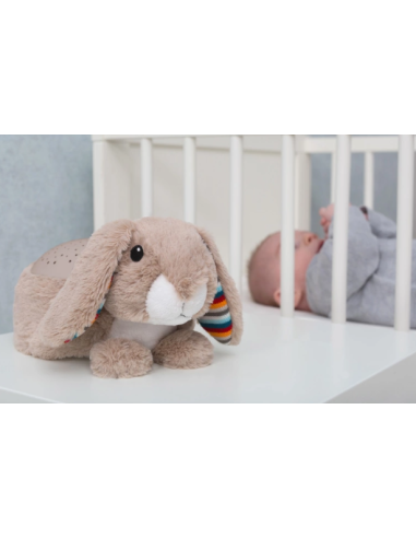 ZAZU RUBY PROIETTORE STELLE CON MELODIE su Shop in Casa