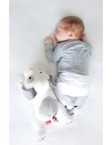 ZAZU DEX PELUCHE COMPAGNO SONNO SONORO su Shop in Casa