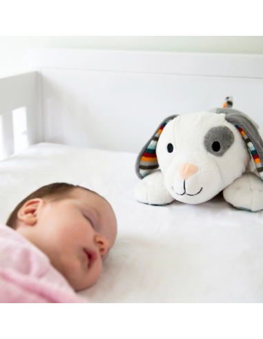 ZAZU DEX PELUCHE COMPAGNO SONNO SONORO su Shop in Casa