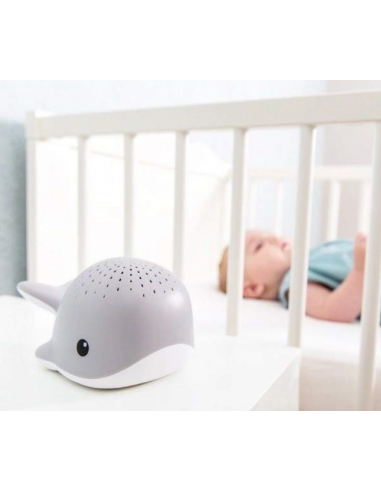 ZAZU WALLY BLU PROIETTORE DI LUCE CON MELODIE su Shop in Casa