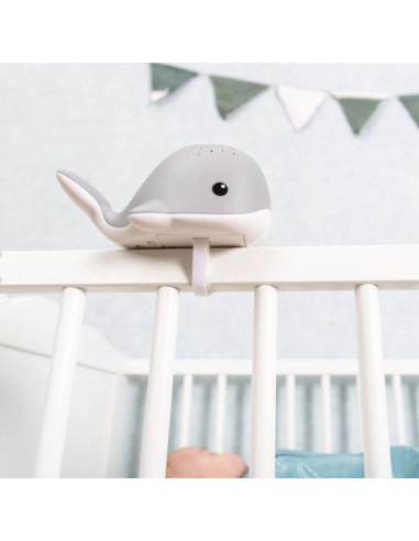 ZAZU WALLY BLU PROIETTORE DI LUCE CON MELODIE su Shop in Casa