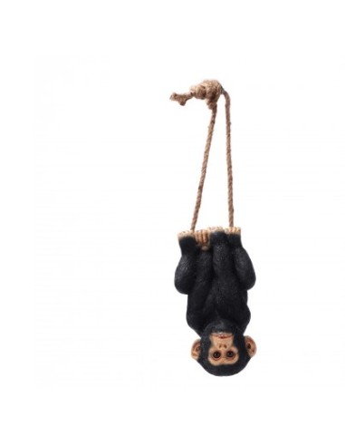 OGGETTISTICA: vendita online FIGURA SCIMMIA 101343 RESINA CON CORDA 15X16X80CM in offerta