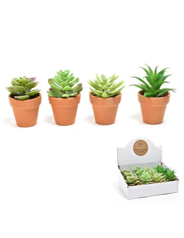 PIANTINA 11293 VASO TERRACOTTA 6X9CM ASSORTITO su Shop in Casa