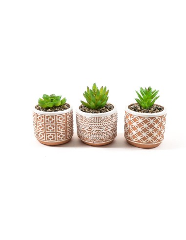PIANTINA 29338 VASO CEMENTO 8,5X11CM ASSORTITO su Shop in Casa