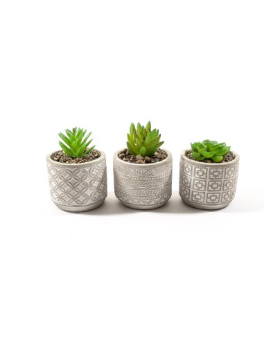 PIANTINA 29314 VASO CEMENTO 8,5X11CM ASSORTITO su Shop in Casa