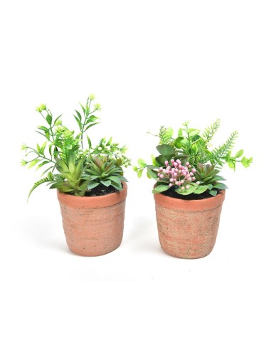 PIANTA 11650 VASO CEMENTO 13X24CM ASSORTITO su Shop in Casa