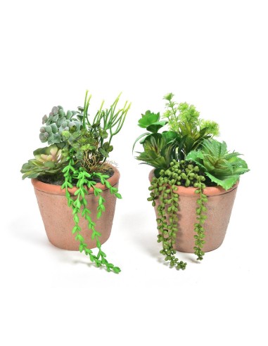 PIANTA GRASSA 11643 VASO CEMENTO 18X30CM ASSORTITO su Shop in Casa