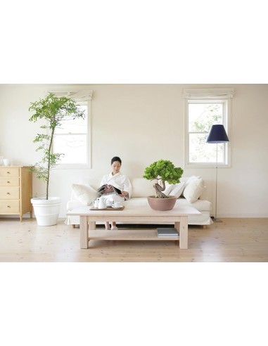 VASI E SOTTO VASI: vendita online THETIS VASO ELEGANCE 30CM AVANA in offerta