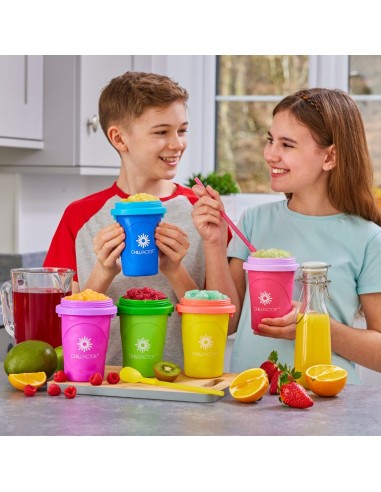 GIOCATTOLO PUBBLICIZZATO: vendita online CHILL FACTOR FRUIT SLUSHY MAKER ASSORTITO CHL02000 in offerta