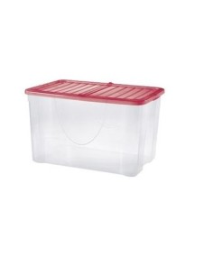 Contenitore Dodo 60L con Coperchio Pieghevole – Colori Assortiti | shopincasa.it