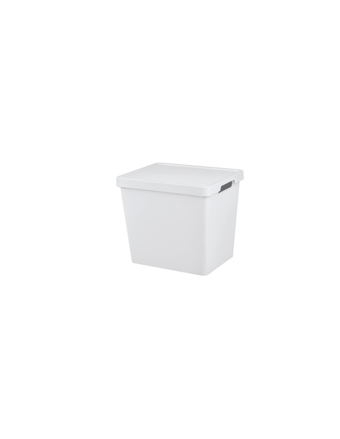 MAYA SCATOLA 24LT 36X28X31CM COLORI ASSORTITI su Shop in Casa