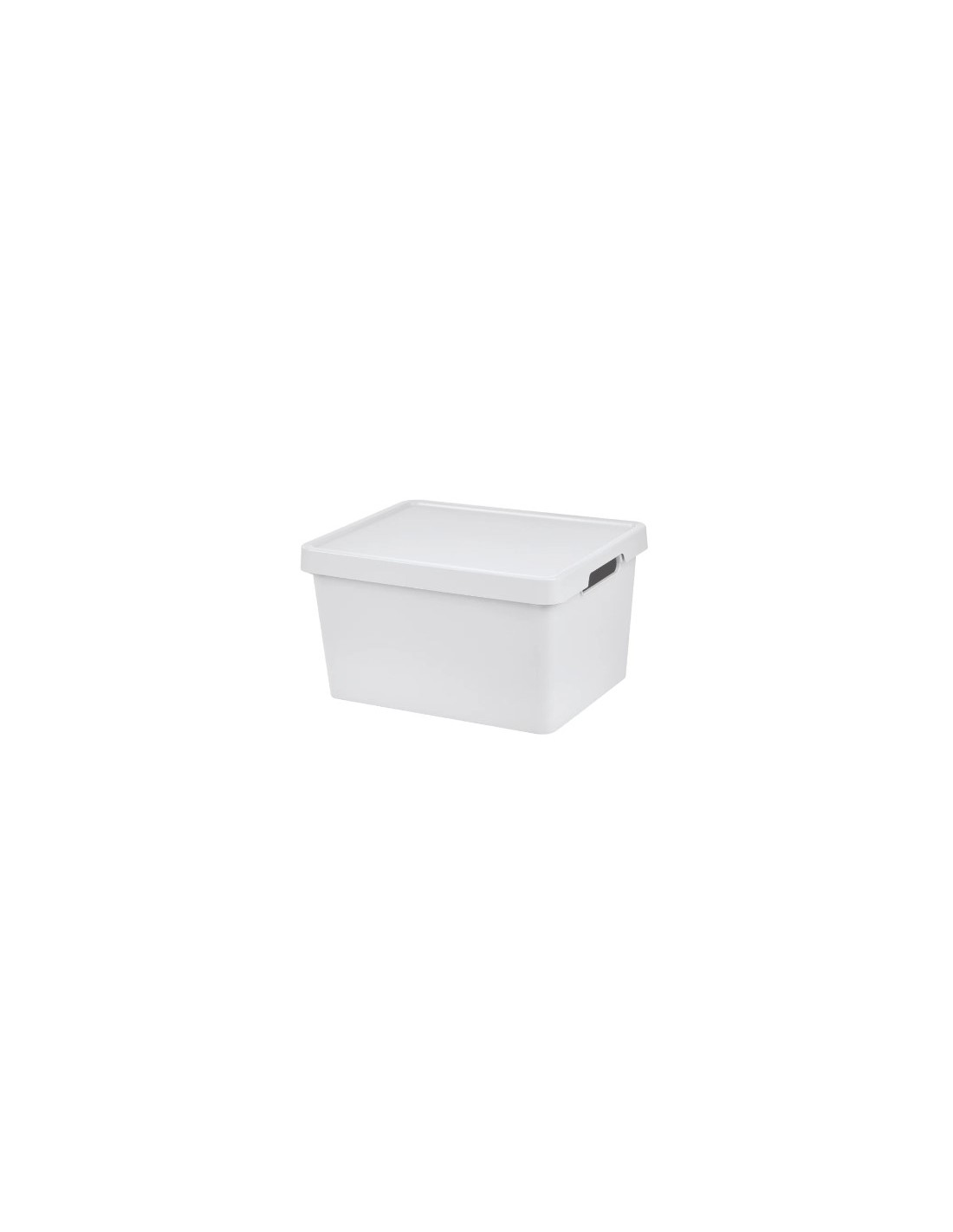 MAYA SCATOLA 16LT 36X28X20CM COLORI ASSORTITI su Shop in Casa