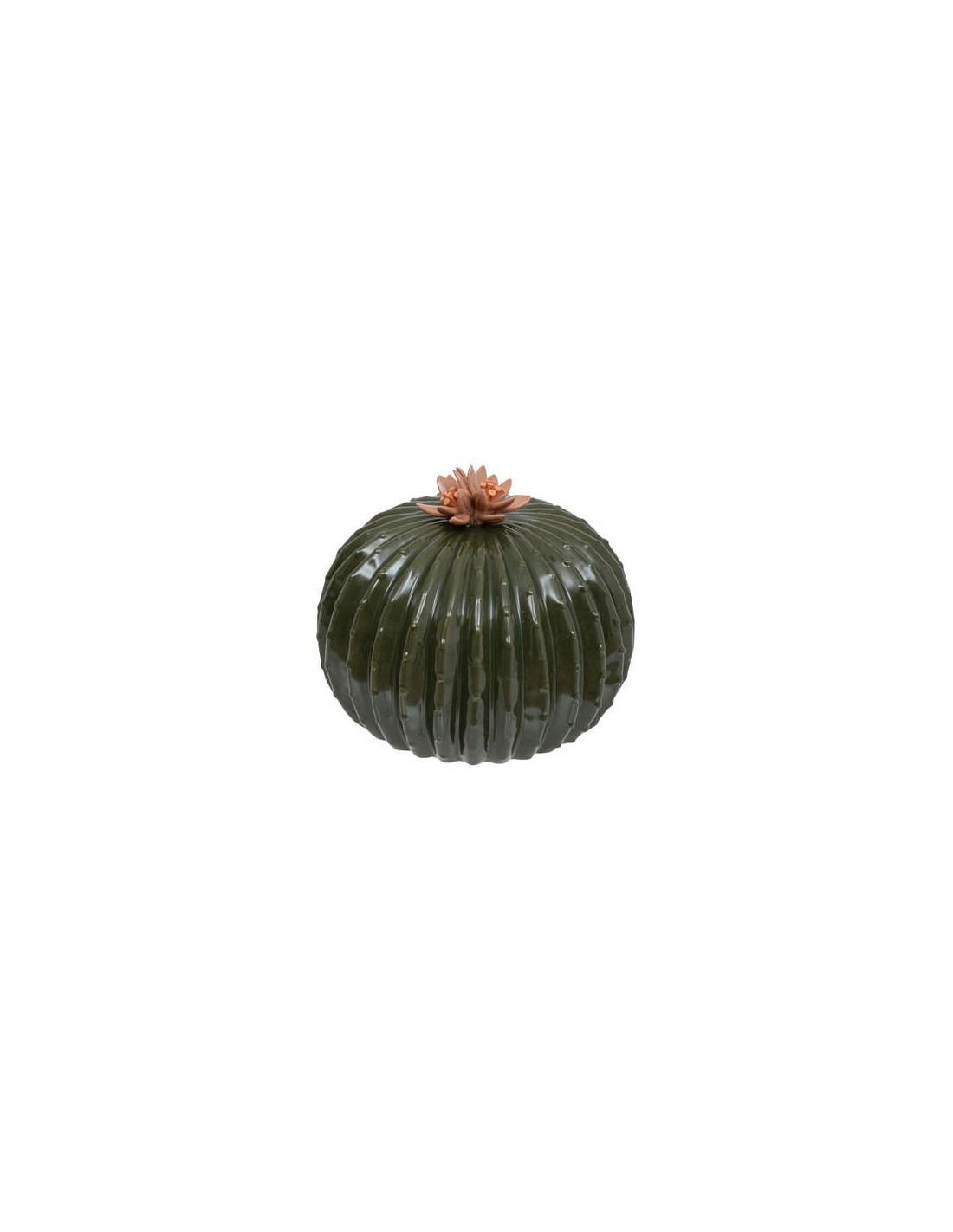 FIGURA CACTUS 200805 EXOTIC 17X15CM CERAMICA su Shop in Casa