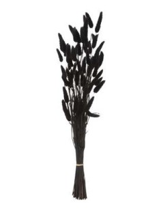 MAZZO FIORI SECCHI 189113D PENNISETO 58CM NERO su Shop in Casa
