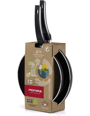 PENTOLE EFFETTO PIETRA: vendita online MONETA FORMIDABILE SET 2 PADELLE 24/28CM in offerta