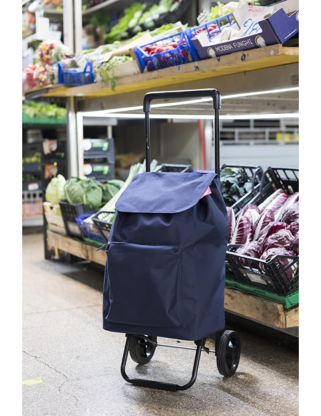 CARRELLI SPESA: vendita online Gimi Carrello Spesa Argo 42L Blu, pieghevole, telaio acciaio, sacca poliestere, portata 30kg, ...