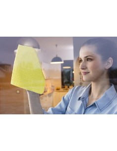 PANNI MICROFIBRA E PAVIMENTI: vendita online 170906 PANNO ACTIFIBRE VETRI E FINESTRE in offerta 2