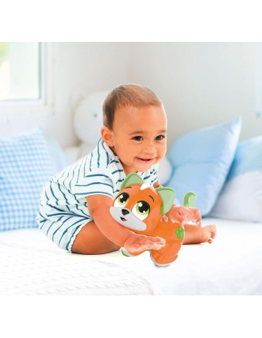 BABY GATTINO CERCACOCCOLE su Shop in Casa