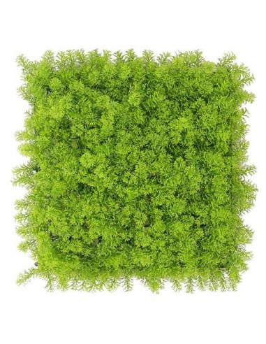 SIEPE ARTIFICIALE 50X50 MUSCHIO CHIARO su Shop in Casa