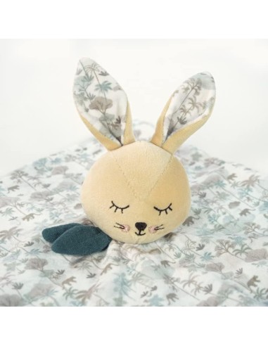 INFANZIA: vendita online DOUDOU CONIGLIO SERENGUETI in offerta
