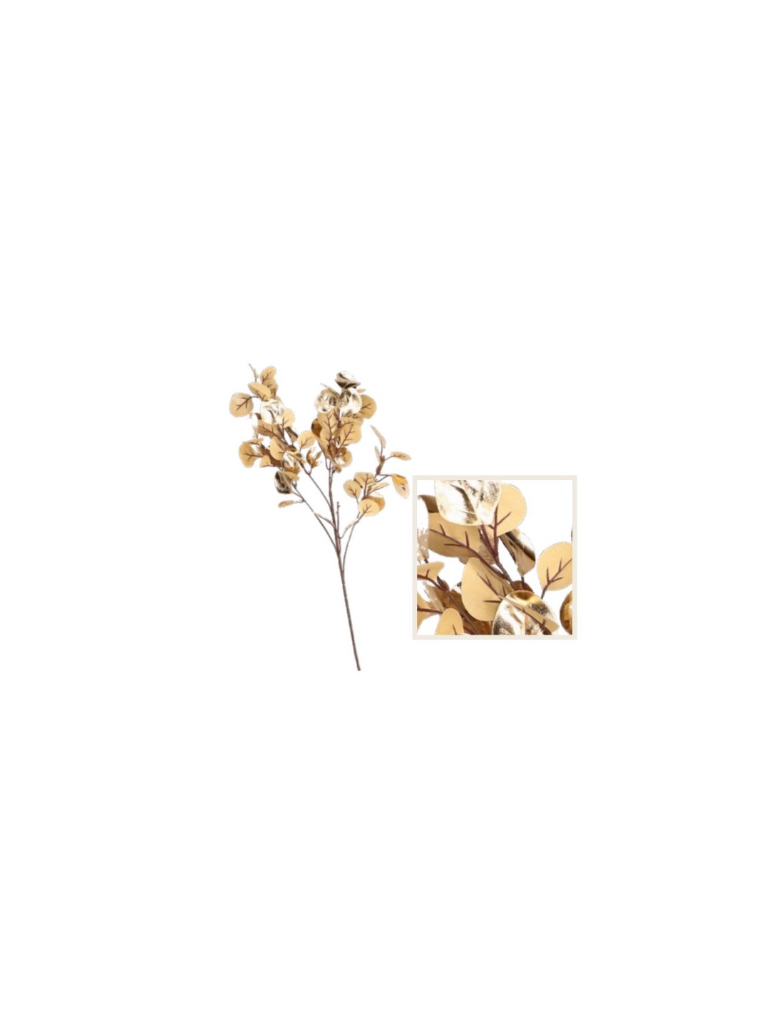 EUCALIPTORO SPRAY LUNGO H238000001