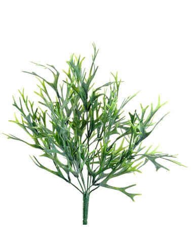 PIANTE: vendita online CESPUGLIO 13770024-01 CITRONELLA VERDE 8 RAMI in offerta